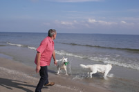 Wolgang bei der Arbeit